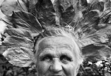 Paweł Totoro Adamiec