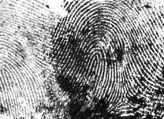 Dłoń w dłoń, czyli design dla potrzeb Design