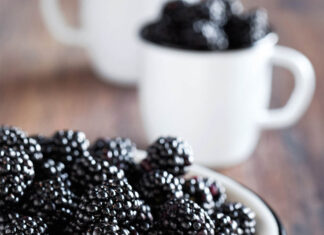 Sezon na kulinarne szaleństwa Sezonowość w kuchni