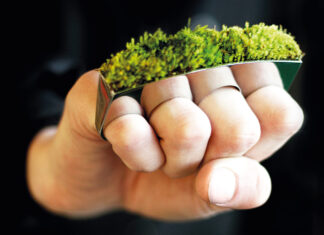 Zielony design design