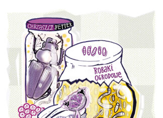 Chrząszcz na widelcu Książka kucharska