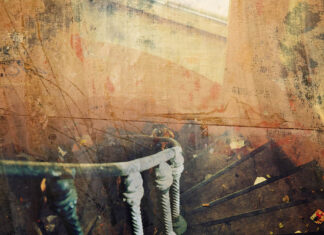 Wolność nielegalna wolność