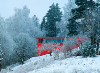 Sęk w tym (dom z drewna) dom z drewna