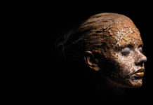 Cztery żywioły Cztery żywioły