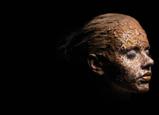 Cztery żywioły Cztery żywioły