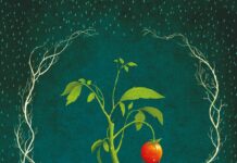 Do góry nogami rośliny