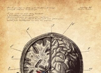 Lęk w kulturze nadmiaru Lęk
