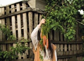 Pomarańczowo mi! Marchewka