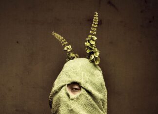 Z daleka od szosy Życie w lesie