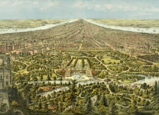 Central Park – wspólna sprawa central park