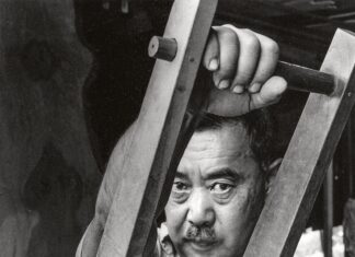 Drzewa mają dusze drewno