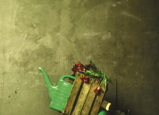 Działkowiec – polskie stowarzyszenie sawannowe działkowiec