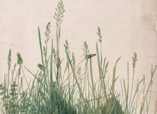 Gra w zielone ogród