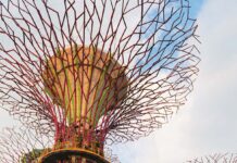 Na manowcach Edenu ogrody