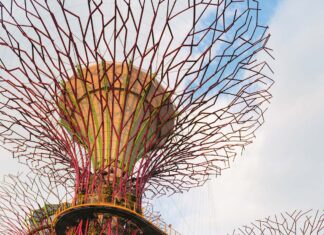 Na manowcach Edenu ogrody