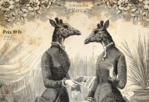 Uważaj, czemu nadajesz znaczenie internet