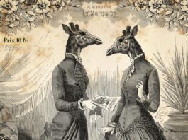 Uważaj, czemu nadajesz znaczenie internet