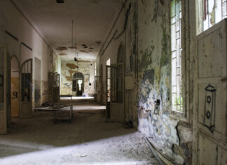 Czarny ptak bez piór. Historia Renee Czarny ptak bez piór. Historia Renee