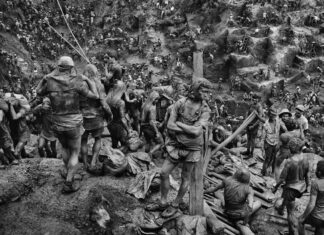 Sól ziemi Sól ziemi