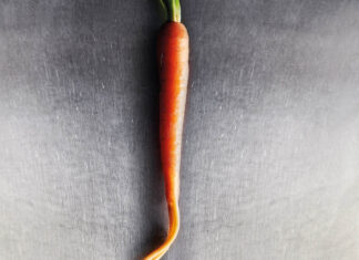 Haute Cuisine Haute Cuisine