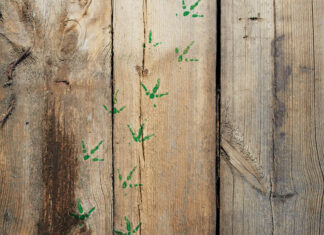 O kulinarnej spuściźnie pokoleń kuchnia