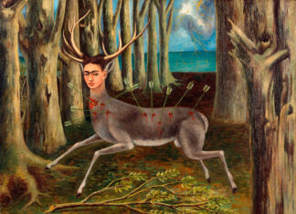 Viva la vida (Frida Kahlo)